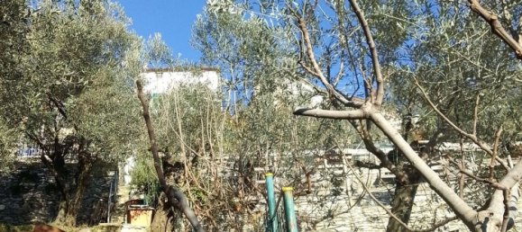 6-Zimmer Haus in Sori, Italy, Nr. 87089 17