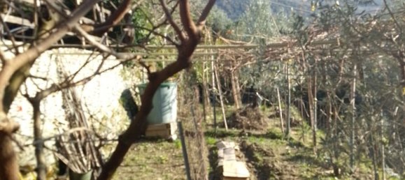 6-Zimmer Haus in Sori, Italy, Nr. 87089 16