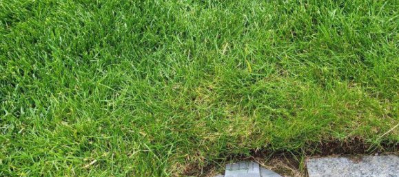 3 bedrooms Townhouse in Linz, Austria No. 191639 26