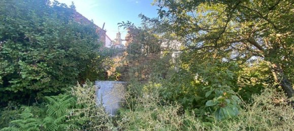 1 Schlafzimmer Haus in Pampilhosa da Serra, Portugal, Nr. 36284 5