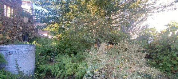 1 Schlafzimmer Haus in Pampilhosa da Serra, Portugal, Nr. 36284 4