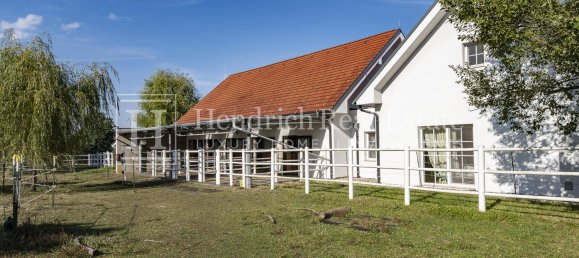 7 bedrooms House in Burgauberg-Neudauberg, Austria No. 255227 3