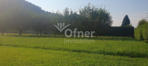  Land in Barnbach, Austria No. 128109 6