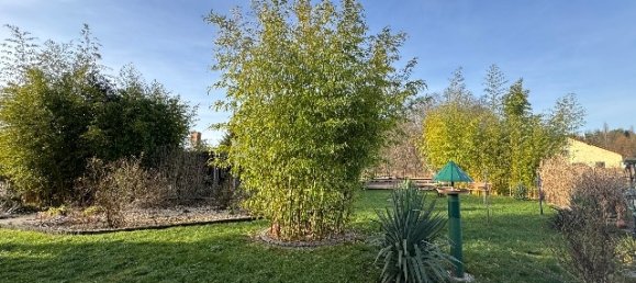 3 chambres Bungalow à Barnim, Germany No. 16955 4