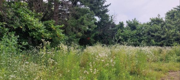 1غرفة قطعة أرض في Nerviano, Italy رقم 62849 7