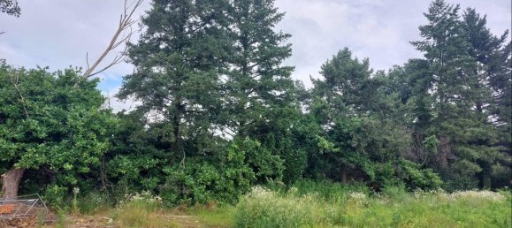 1غرفة قطعة أرض في Nerviano, Italy رقم 62849 11