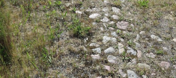 Casa de 100 divisões em Demmin, Germany N.º 224858 42