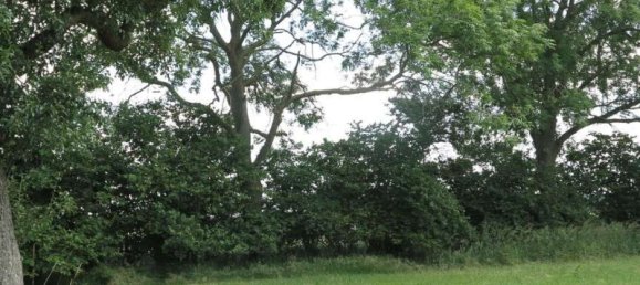 Casa de 100 divisões em Demmin, Germany N.º 224858 20