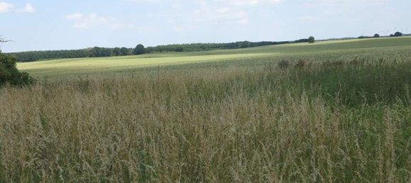 Casa de 100 divisões em Demmin, Germany N.º 224858 13