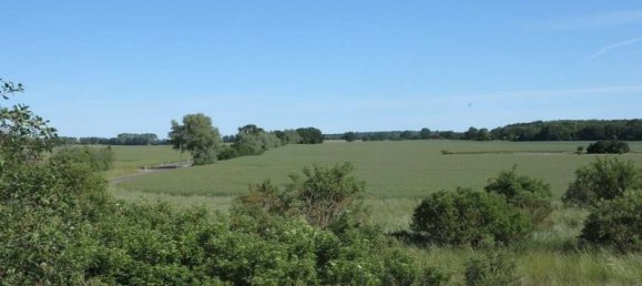 Casa de 100 divisões em Demmin, Germany N.º 224858 45