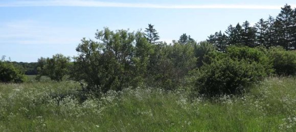 Casa de 100 divisões em Demmin, Germany N.º 224858 46