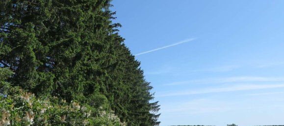 Casa de 100 divisões em Demmin, Germany N.º 224858 4