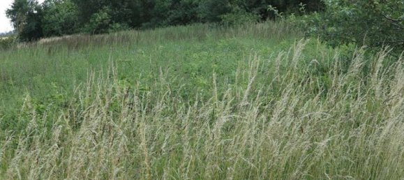 Casa de 100 divisões em Demmin, Germany N.º 224858 5