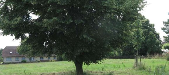 Casa de 100 divisões em Demmin, Germany N.º 224858 21