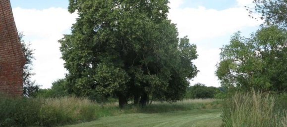 Casa de 100 divisões em Demmin, Germany N.º 224858 15