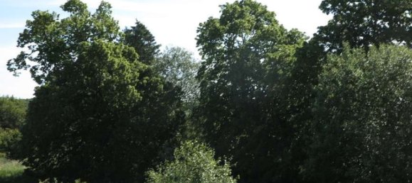 Casa de 100 divisões em Demmin, Germany N.º 224858 48