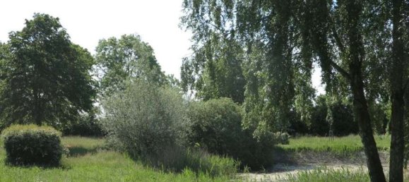 Casa de 100 divisões em Demmin, Germany N.º 224858 47