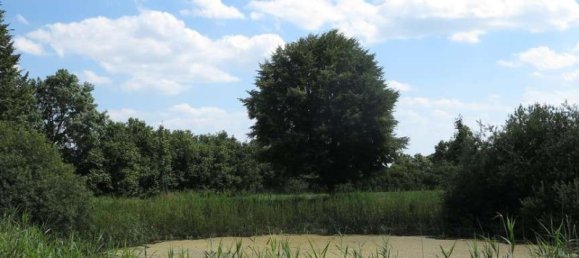 Casa de 100 divisões em Demmin, Germany N.º 224858 19