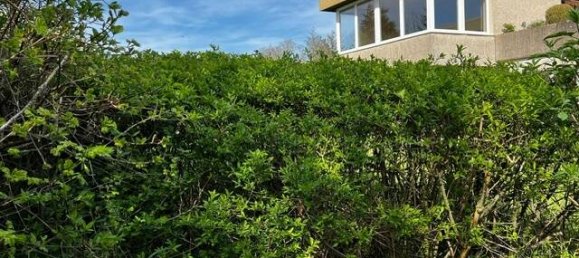 Bungalow de 6 habitaciónes en Ansbach, Germany No. 141714 19