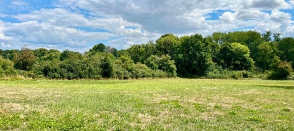 Земельный участок 16600м² в Шарбюи, Франция № 311642 4