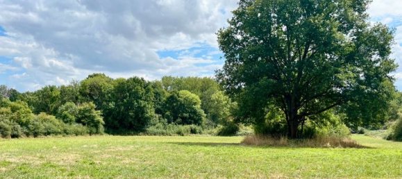 Земельный участок 16600м² в Шарбюи, Франция № 311642 6