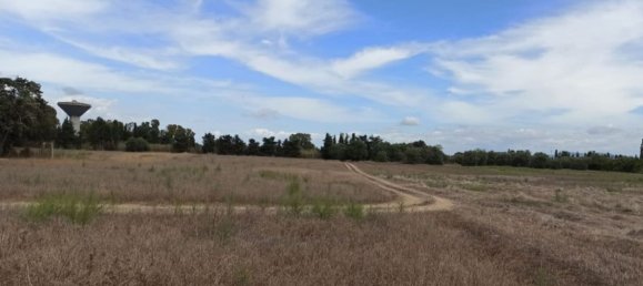 Terrain à Cabras, Italy 10000m² No. 289098 3