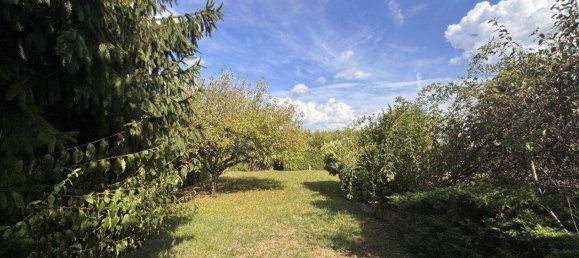 Terrain à Premstatten, Austria No. 223231 4