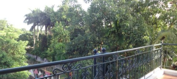 6 غرف نوم فيلا في Tay Ho, Vietnam رقم 4069 20