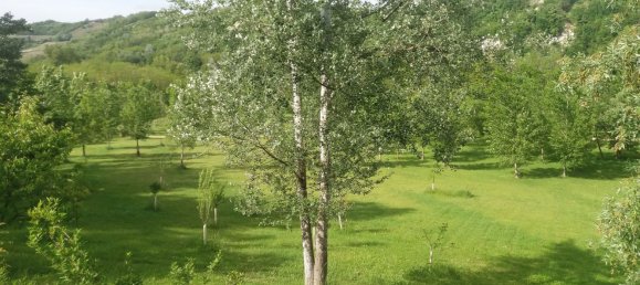 8 rooms House in Tagliolo Monferrato, Italy No. 58624 46