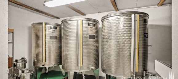 8 bedrooms House in Radda in Chianti, Italy No. 54106 37