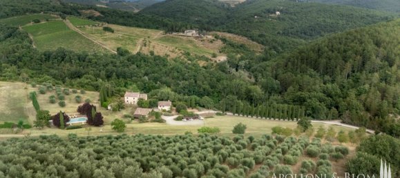 8 bedrooms House in Radda in Chianti, Italy No. 54106 16