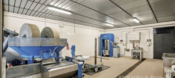 8 bedrooms House in Radda in Chianti, Italy No. 54106 41