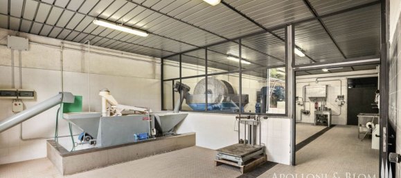 8 bedrooms House in Radda in Chianti, Italy No. 54106 40