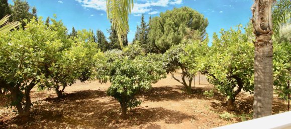 3 bedrooms House in Alhaurin el Grande, Spain No. 146480 24