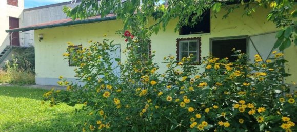 150m² Land in Spillern, Austria No. 218534 8