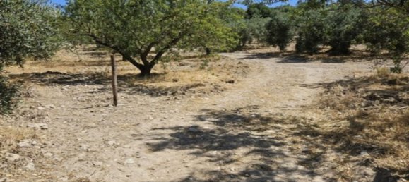 Casa de 3 dormitorios en Málaga, Spain No. 187432 28