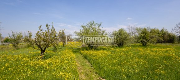 5 chambres Maison à Reggio Emilia, Italy No. 67883 39