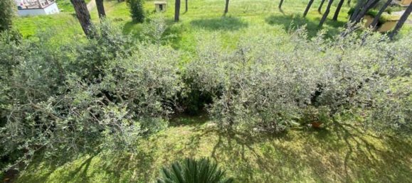 6 rooms House in Luni, Italy No. 36988 10