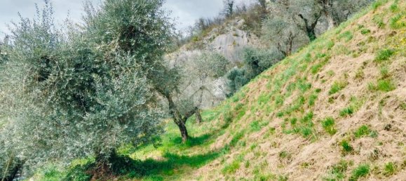 1 room Land in Marone, Italy No. 287960 12