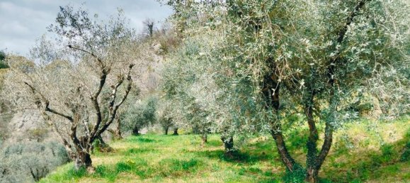 1 room Land in Marone, Italy No. 287960 6