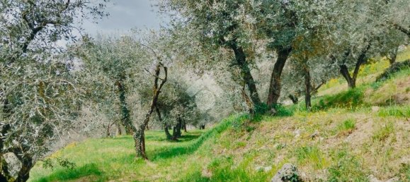 1 room Land in Marone, Italy No. 287960 10