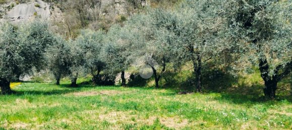 1 room Land in Marone, Italy No. 287960 8