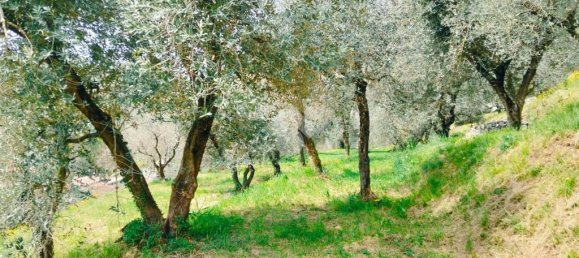 1 room Land in Marone, Italy No. 287960 11