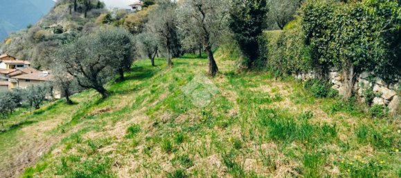 1 room Land in Marone, Italy No. 287960 9