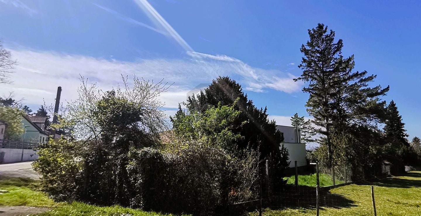 Terrain à Mannersdorf am Leithagebirge, Austria No. 257279