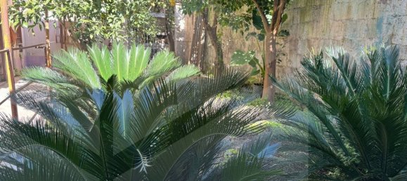 4 rooms Duplex in Cimitile, Italy No. 34468 43