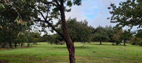 4 غرف نوم منزل في Morbihan, France رقم 330180 14