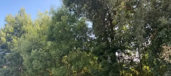  Land in Vila Nova de Gaia, Portugal No. 45641 5