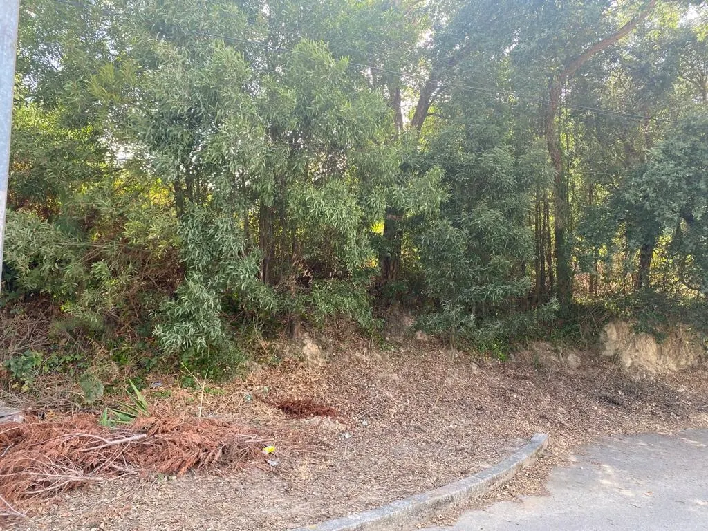  Land in Vila Nova de Gaia, Portugal No. 45641