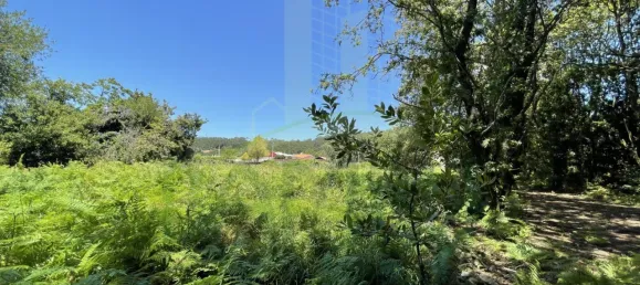 Земельный участок в Виана ду Каштелу, Португалия № 59061 16